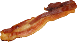 500gfpx-Bacon