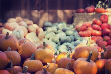 pumpkin