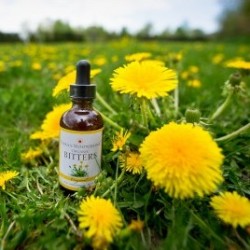 dandelions-7_1