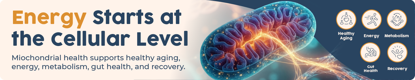 Energy starts at the cellular level — mitochondrial health supports healthy aging, energy, metabolism, gut health and recovery. Shop mitochondrial health.